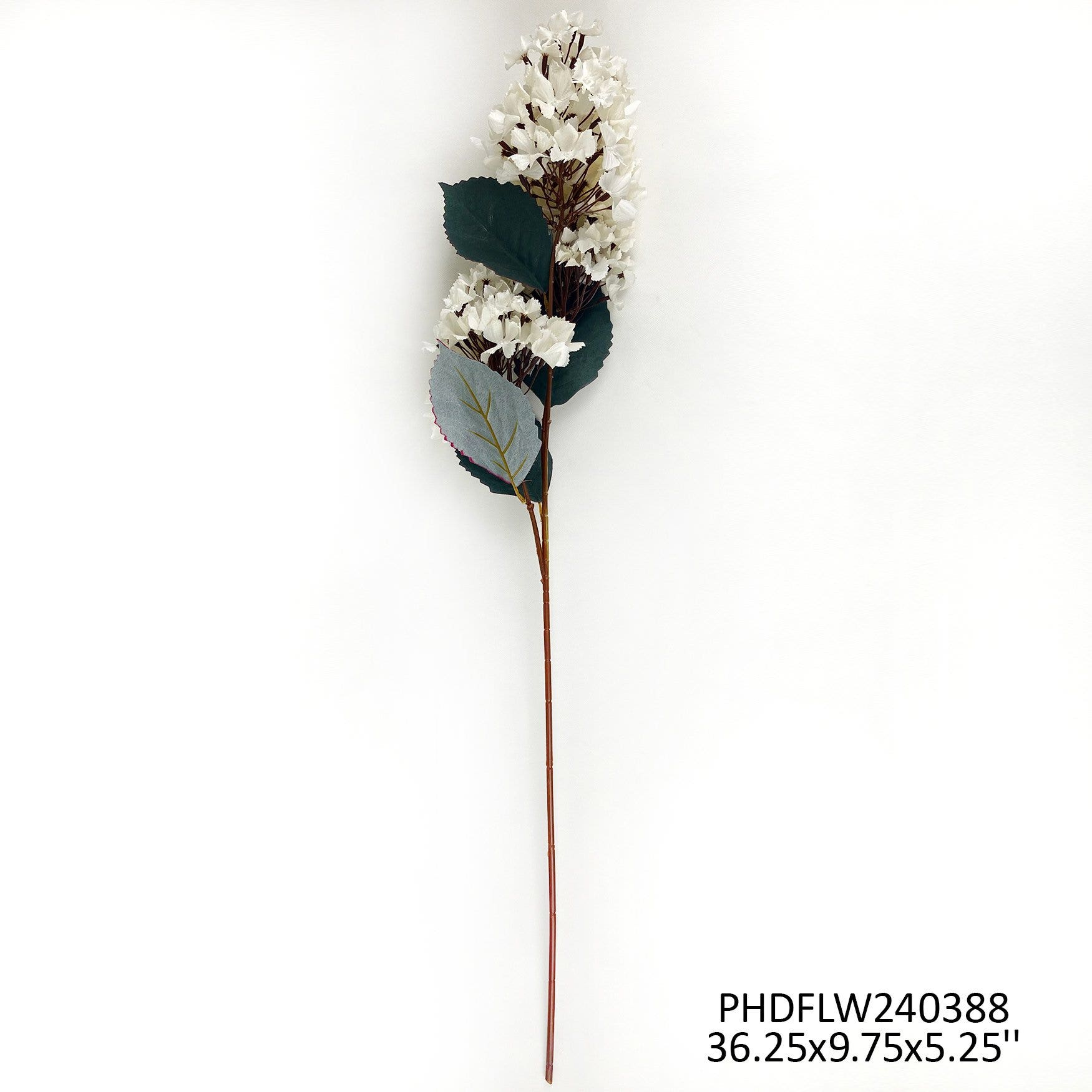 #1 PeeGee Hydrangea White