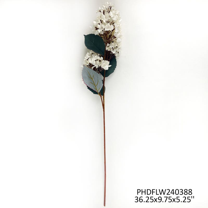 #1 PeeGee Hydrangea White