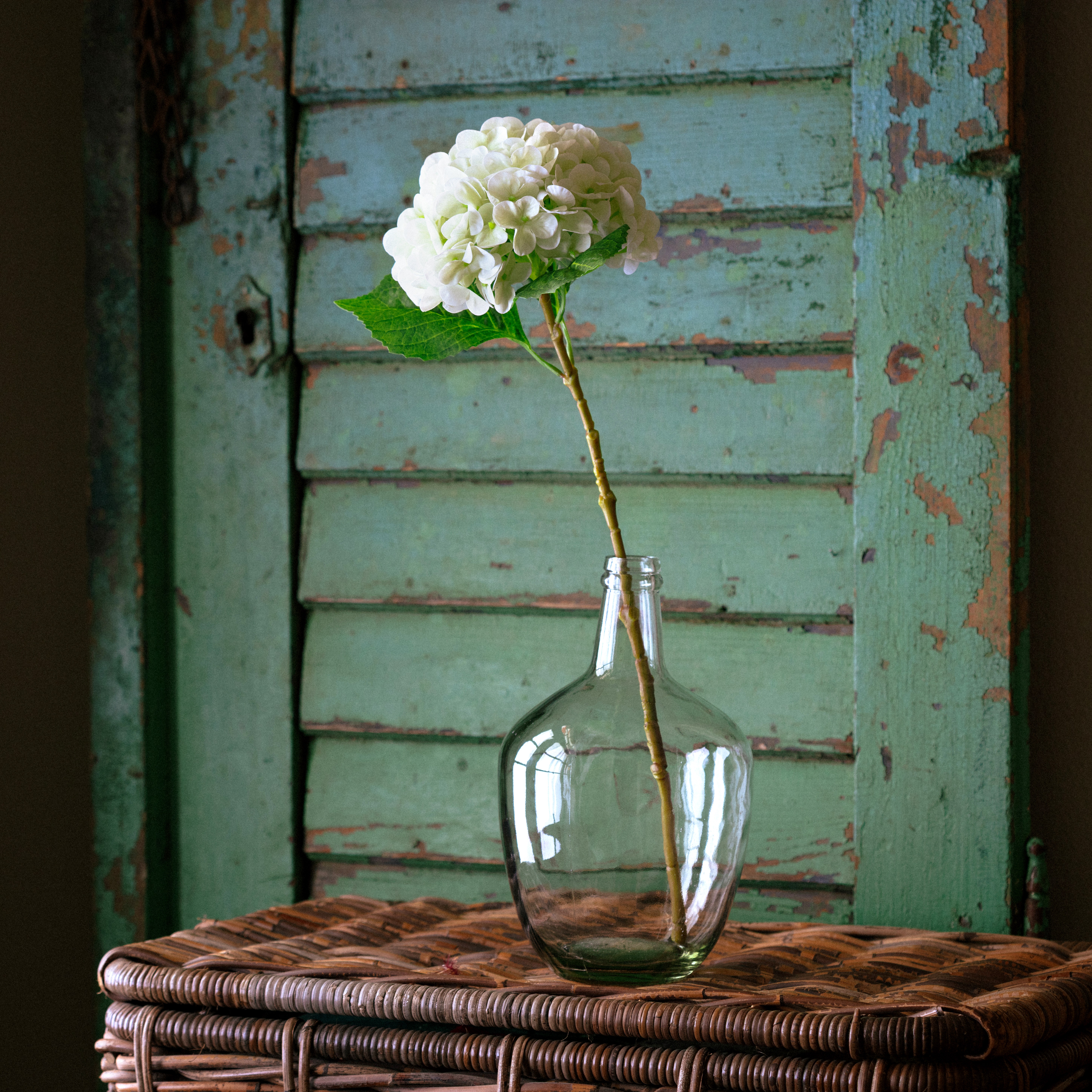 Floral - Porchview