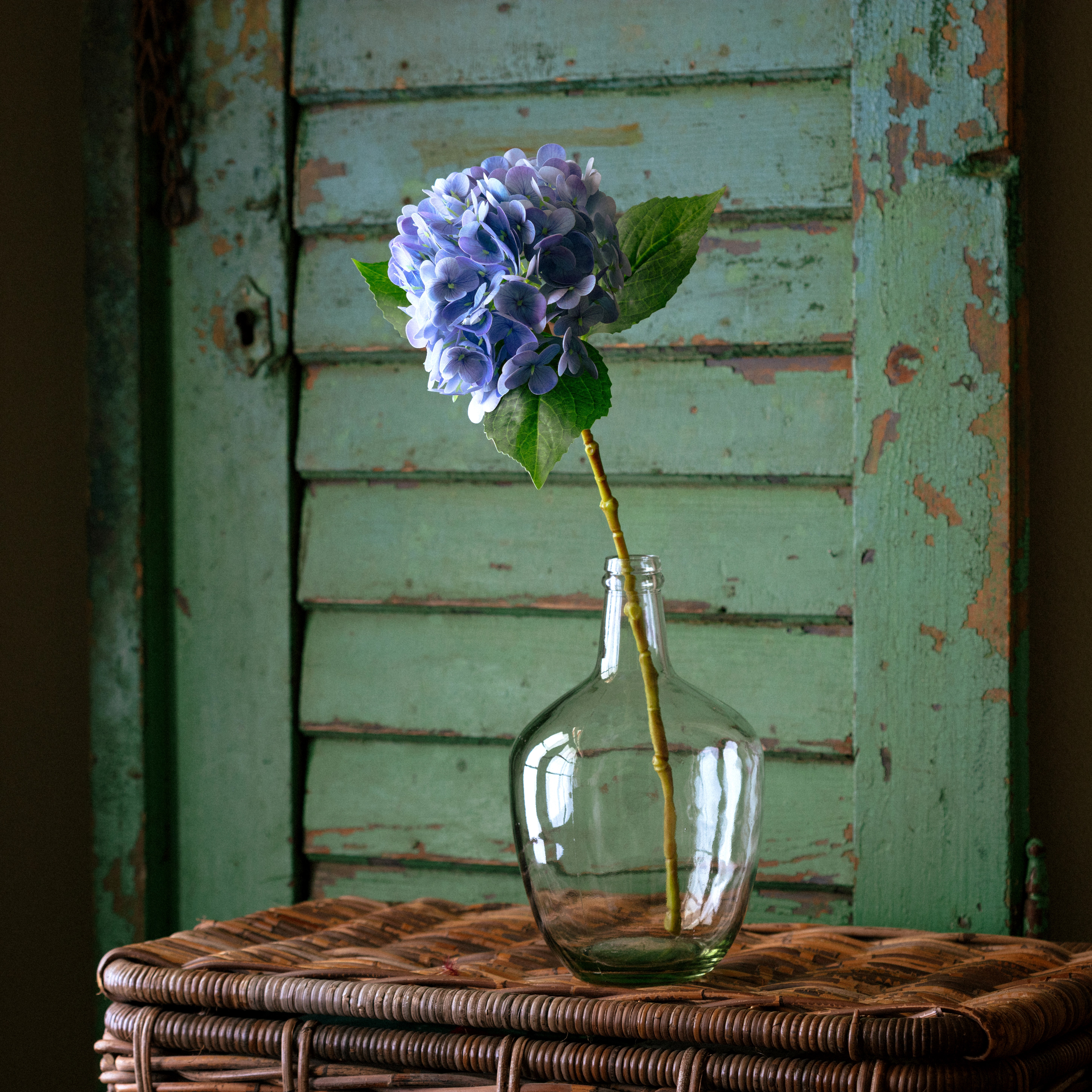 Floral - Porchview