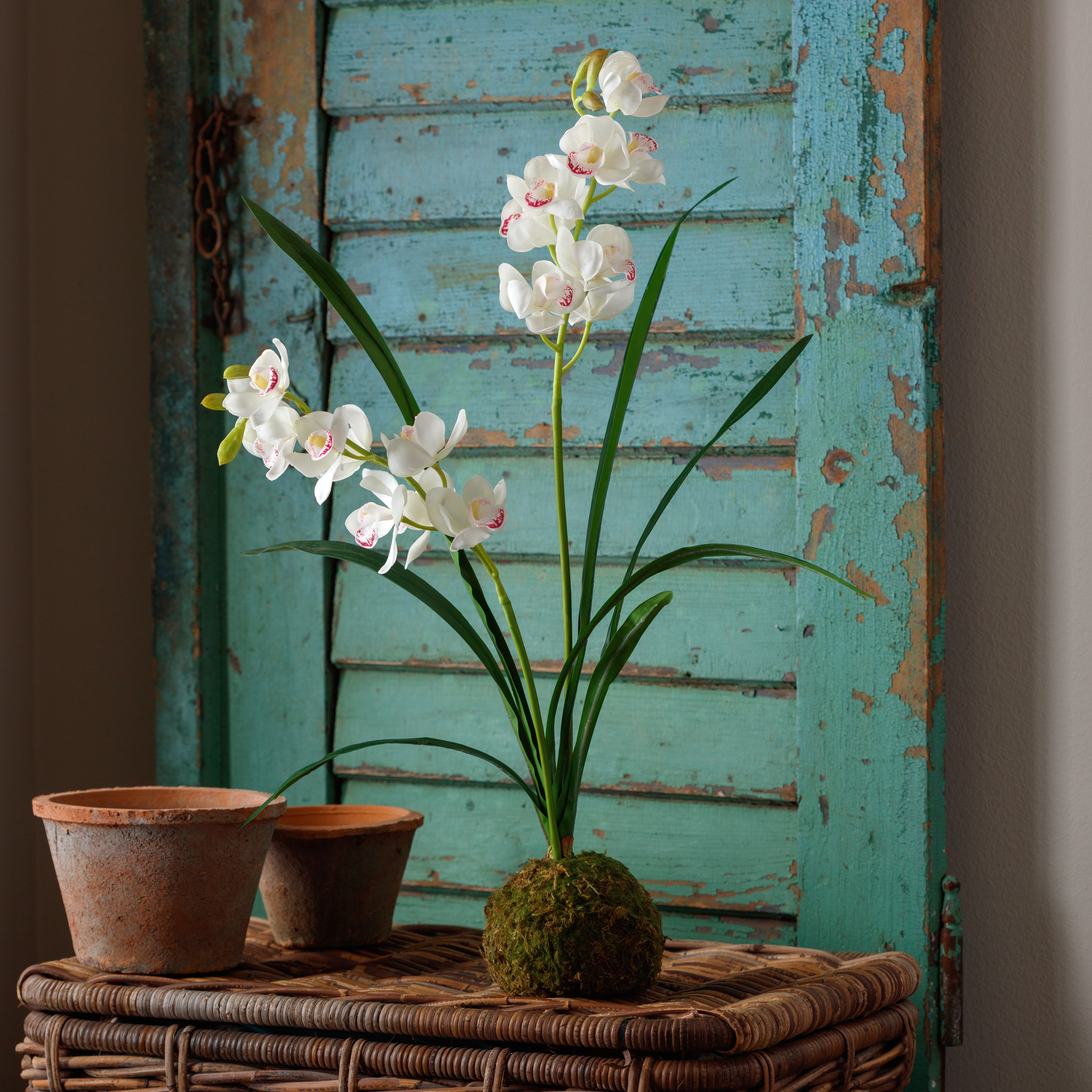 Floral Tuscany ゴブラン織　壁掛け　USA Black - Wallpaper Toile Spinney Farmhouse Chesapeake 3115-12542 その他